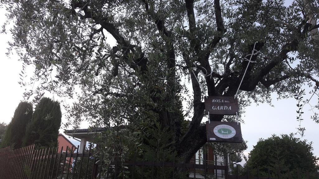 B&B Rosa Del Garda Lazise Bagian luar foto